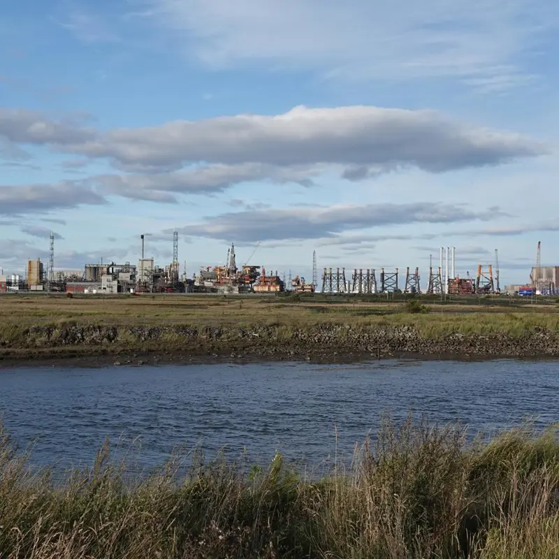 Greenabella Marsh